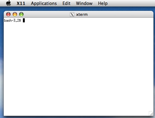 An xterm window and X11 menu bar