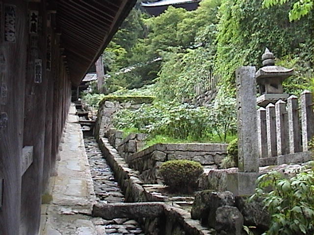 DSC00032.JPG