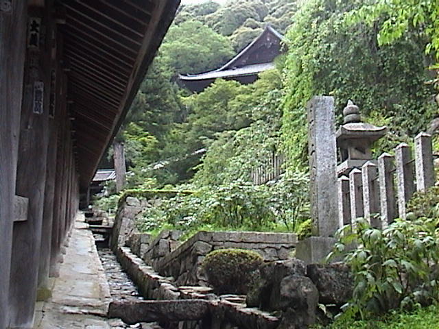DSC00033.JPG
