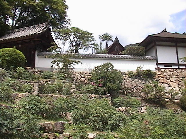 DSC00034.JPG