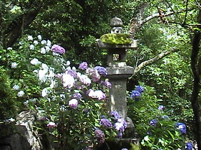 DSC00039.JPG