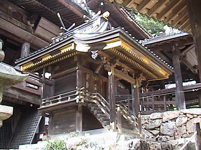 DSC00040.JPG