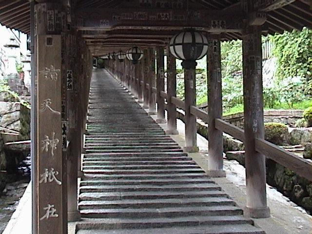 DSC00030.JPG