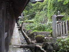 DSC00032.JPG
