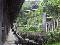 DSC00033.JPG