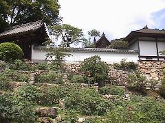 DSC00034.JPG