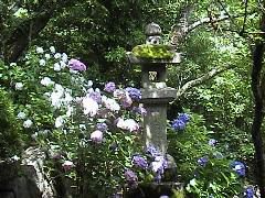 DSC00039.JPG