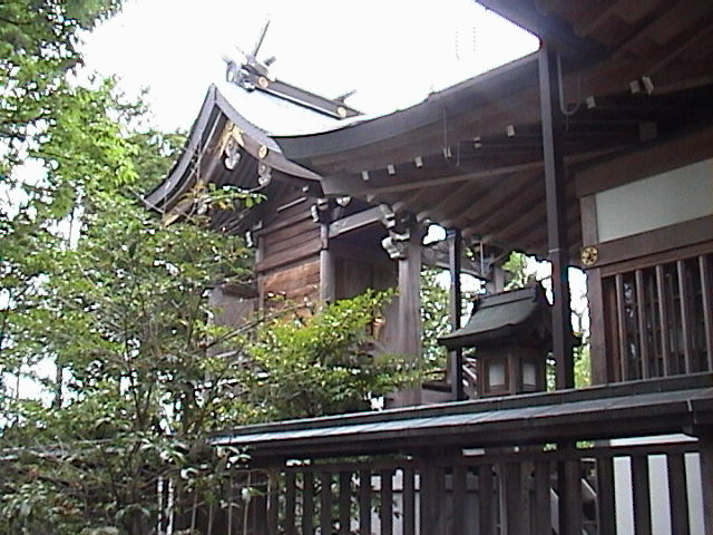 DSC00042.JPG