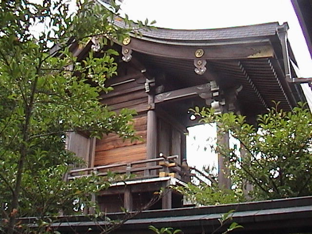 DSC00043.JPG