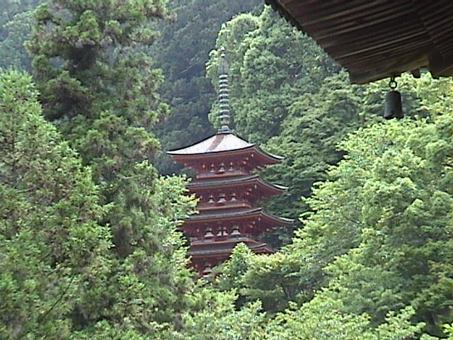 DSC00058.JPG