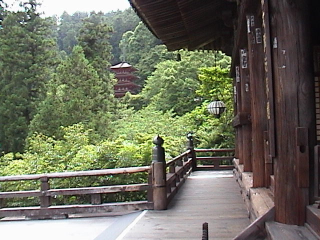 DSC00059.JPG