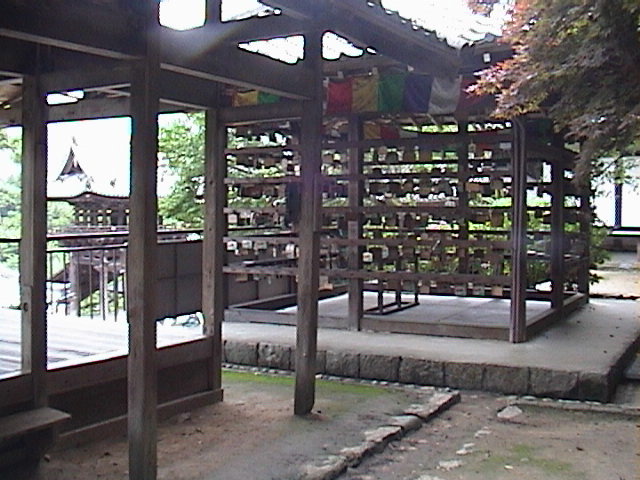 DSC00064.JPG
