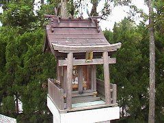 DSC00038.JPG