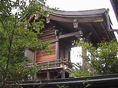 DSC00043.JPG