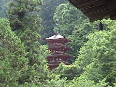 DSC00058.JPG
