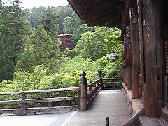 DSC00059.JPG