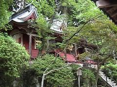 DSC00062.JPG