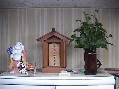DSC00068.JPG