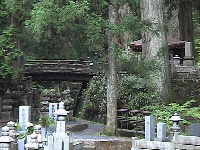 DSC00106.JPG