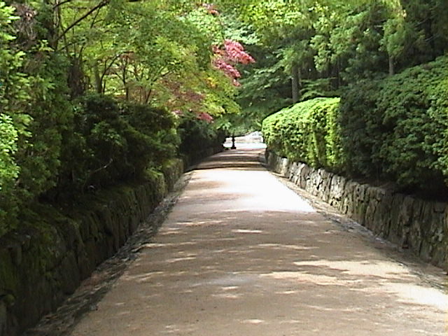 DSC00120.JPG