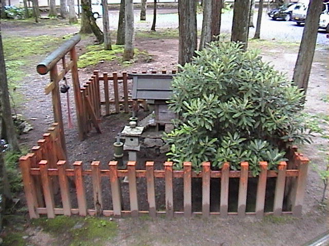 DSC00123.JPG