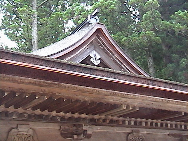 DSC00126.JPG