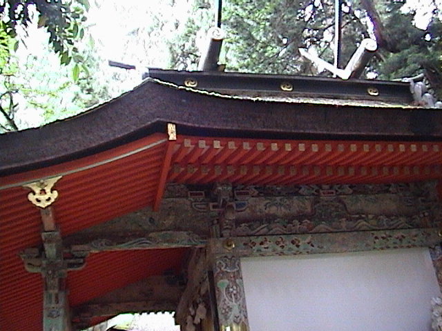 DSC00133.JPG