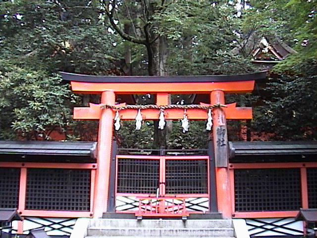 DSC00134.JPG