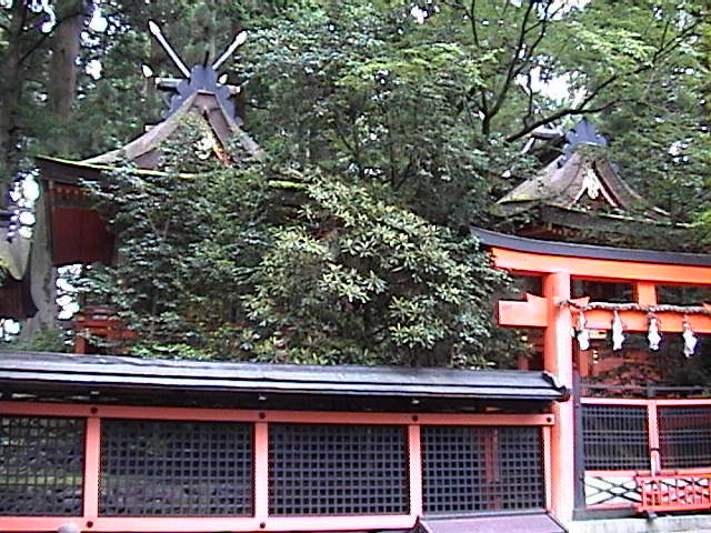 DSC00135.JPG