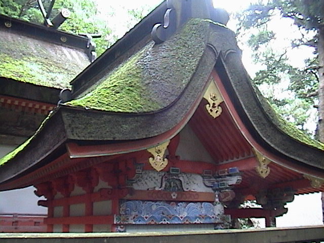 DSC00137.JPG