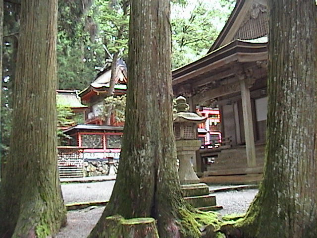 DSC00141.JPG