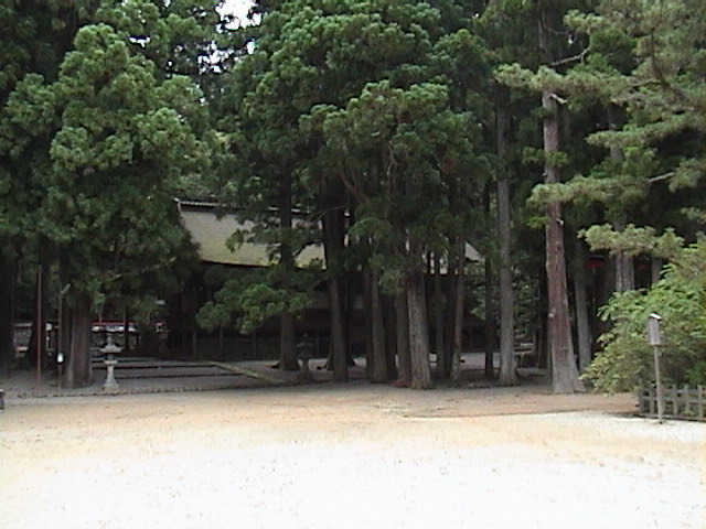 DSC00145.JPG