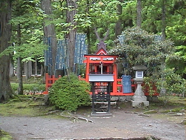 DSC00163.JPG