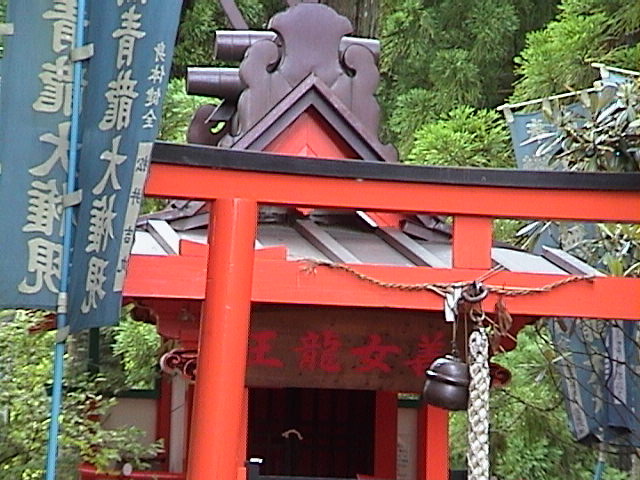 DSC00164.JPG