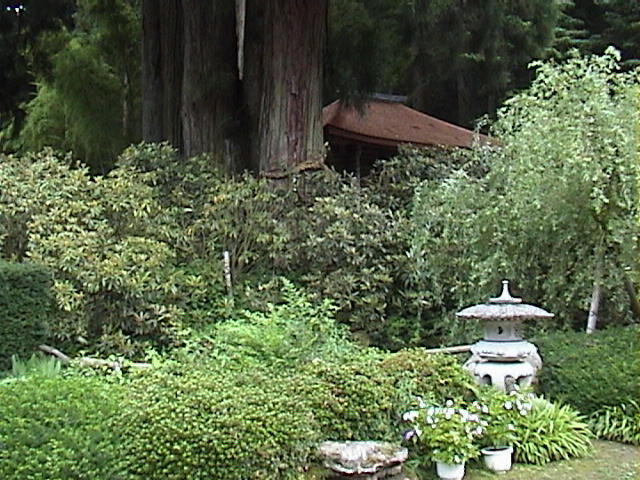 DSC00177.JPG