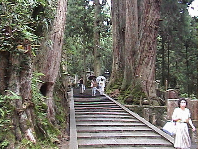 DSC00019.JPG