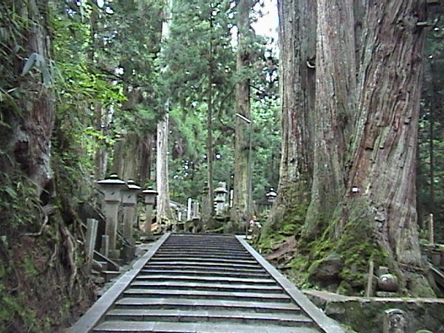 DSC00022.JPG