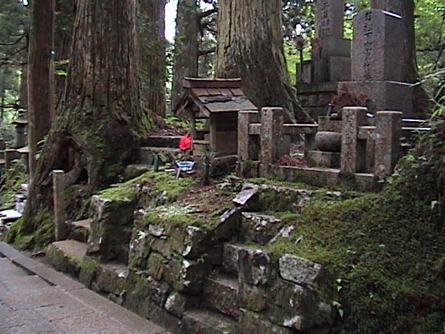 DSC00028.JPG