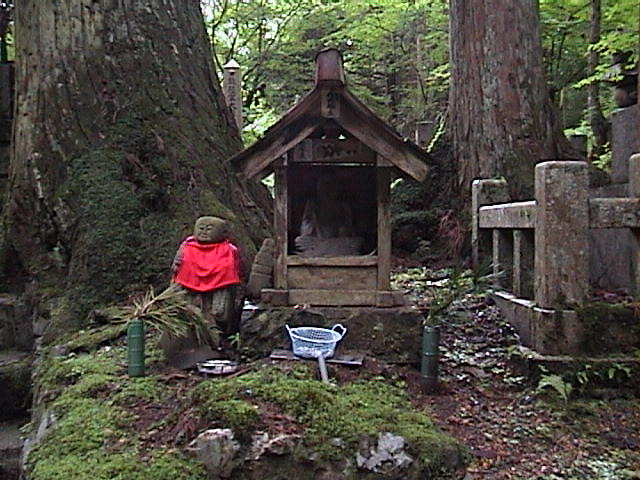 DSC00029.JPG