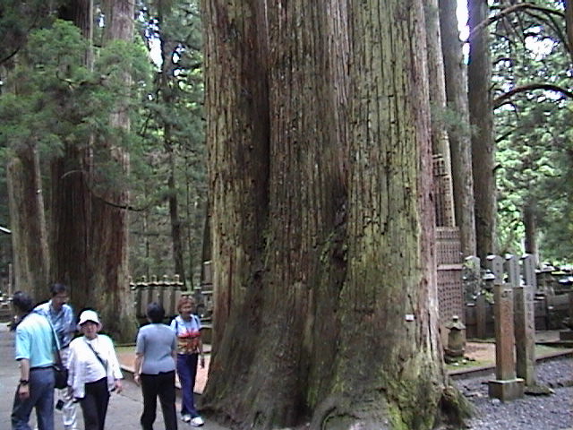 DSC00030.JPG