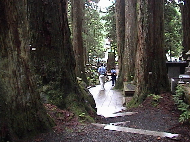 DSC00034.JPG