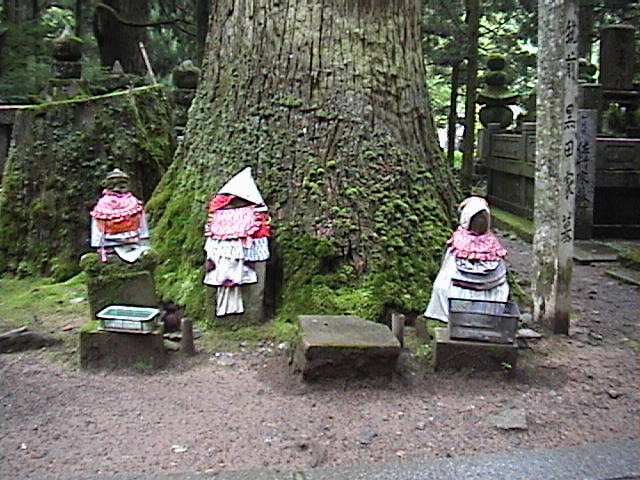 DSC00035.JPG