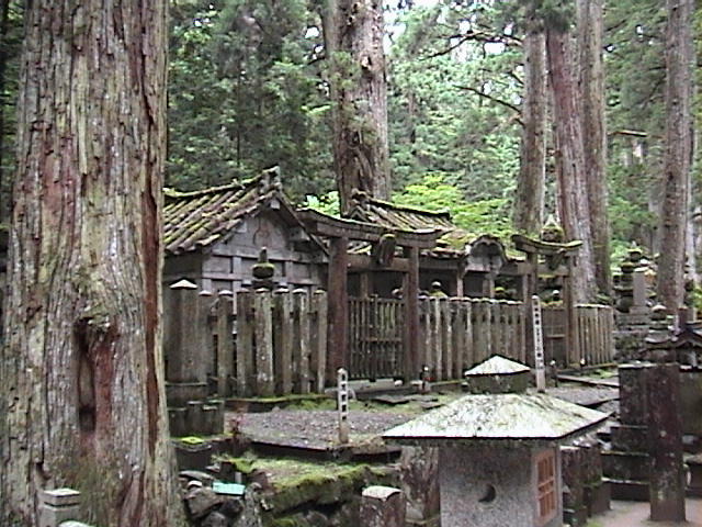 DSC00040.JPG