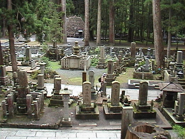 DSC00045.JPG