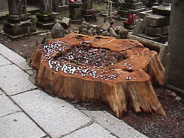 DSC00053.JPG
