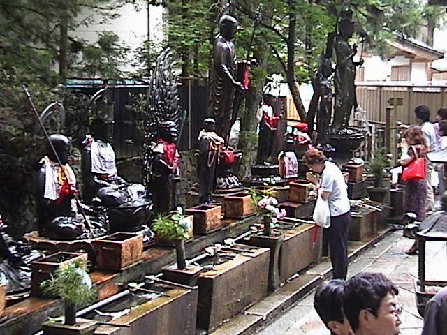 DSC00057.JPG