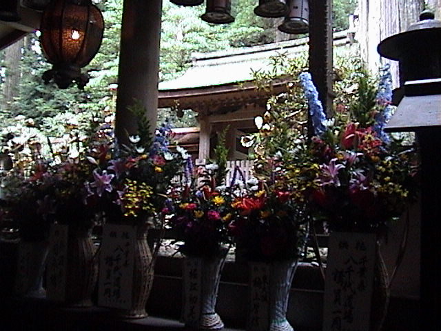 DSC00082.JPG