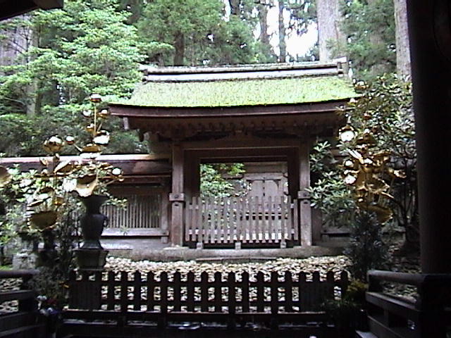 DSC00083.JPG