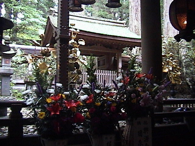 DSC00084.JPG