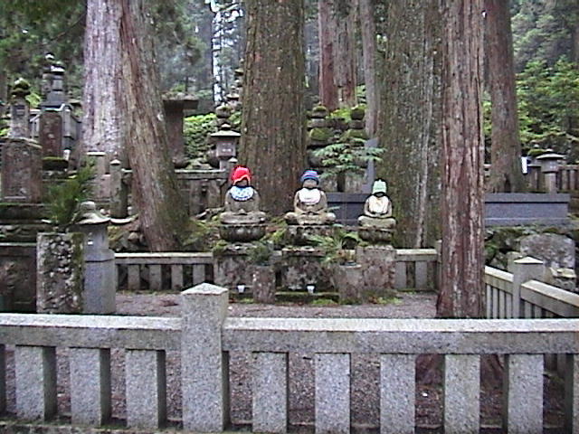 DSC00092.JPG